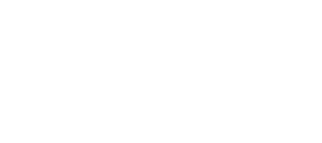 The Wellness Institute